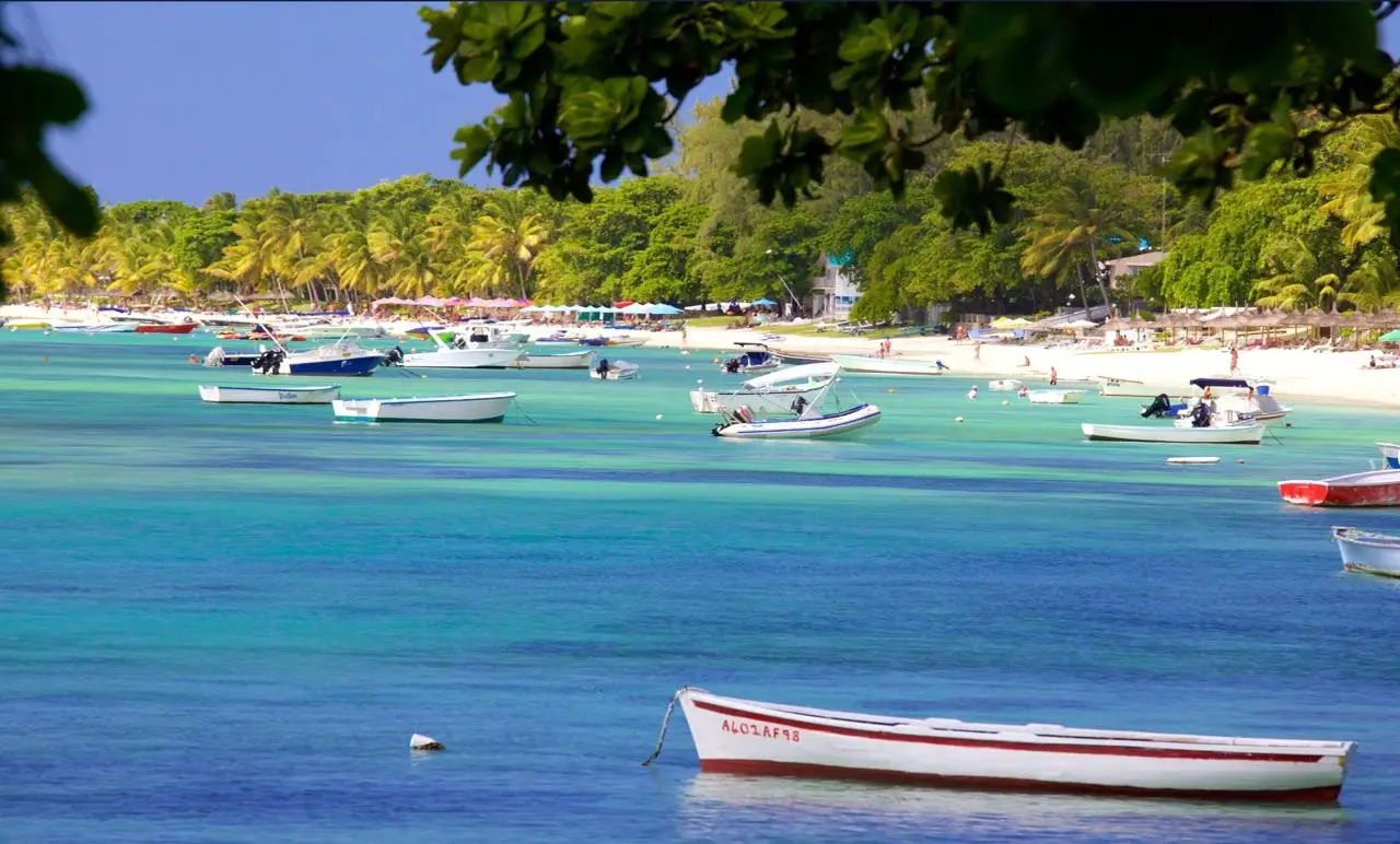 LAELIA - TROU AUX BICHES · MAURITIUS – 1